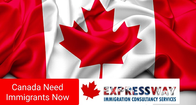Canada Immigration news 