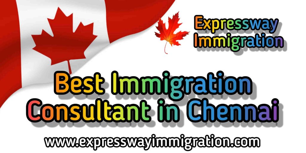 Best Immigration Consultant