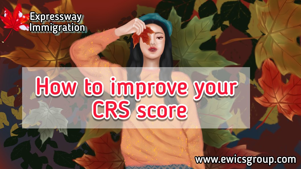 How to improve your crs score for Express Entry Canada pr visa