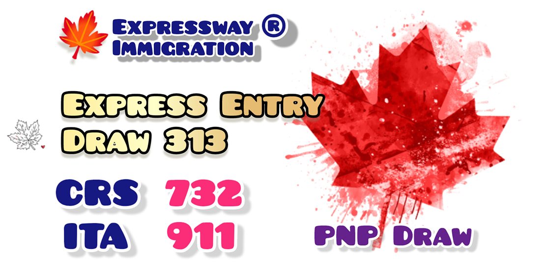 Express Entry Draw #313