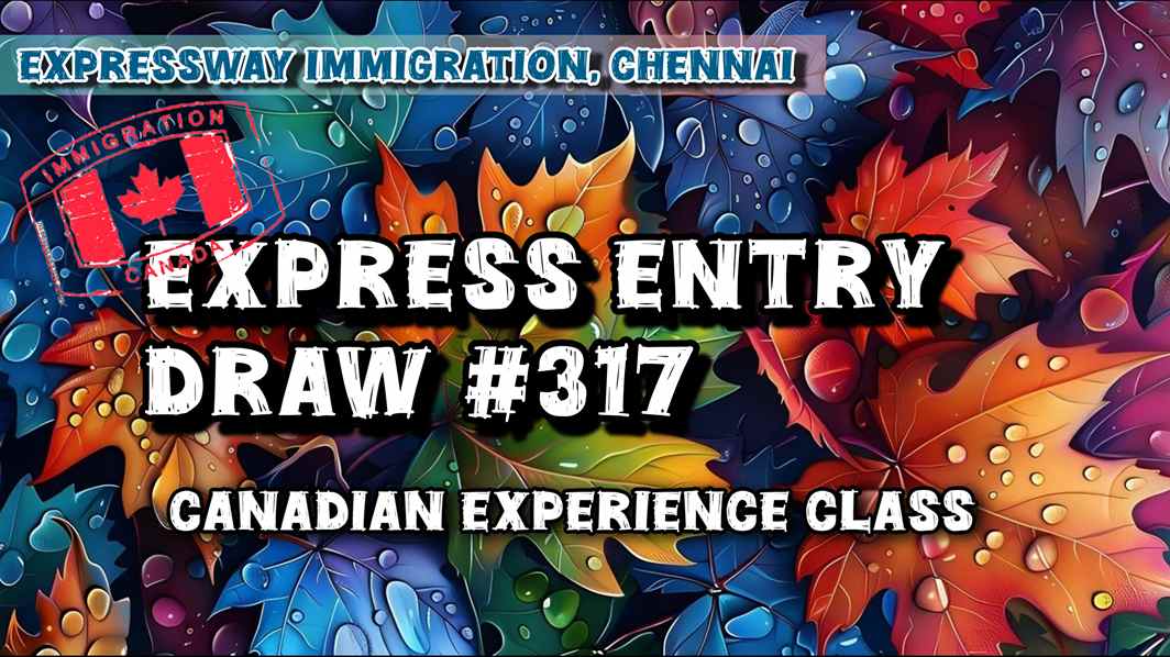 Express Entry Draw 317